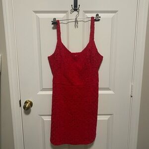 NWT: Hollister A-Line Lace Dress